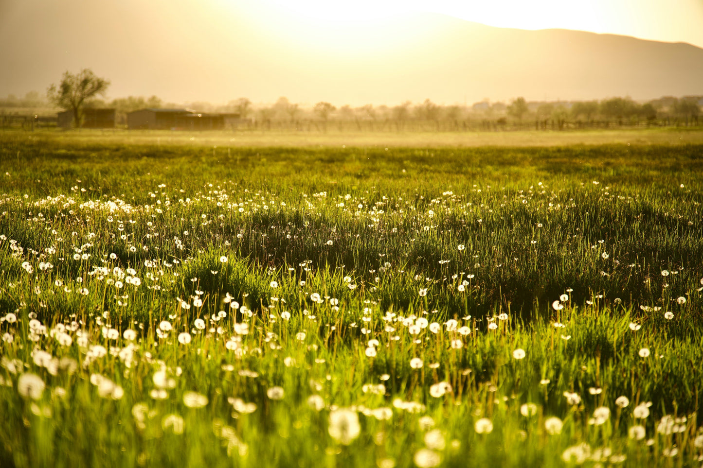 The Quiet Power of Everyday Ritual
