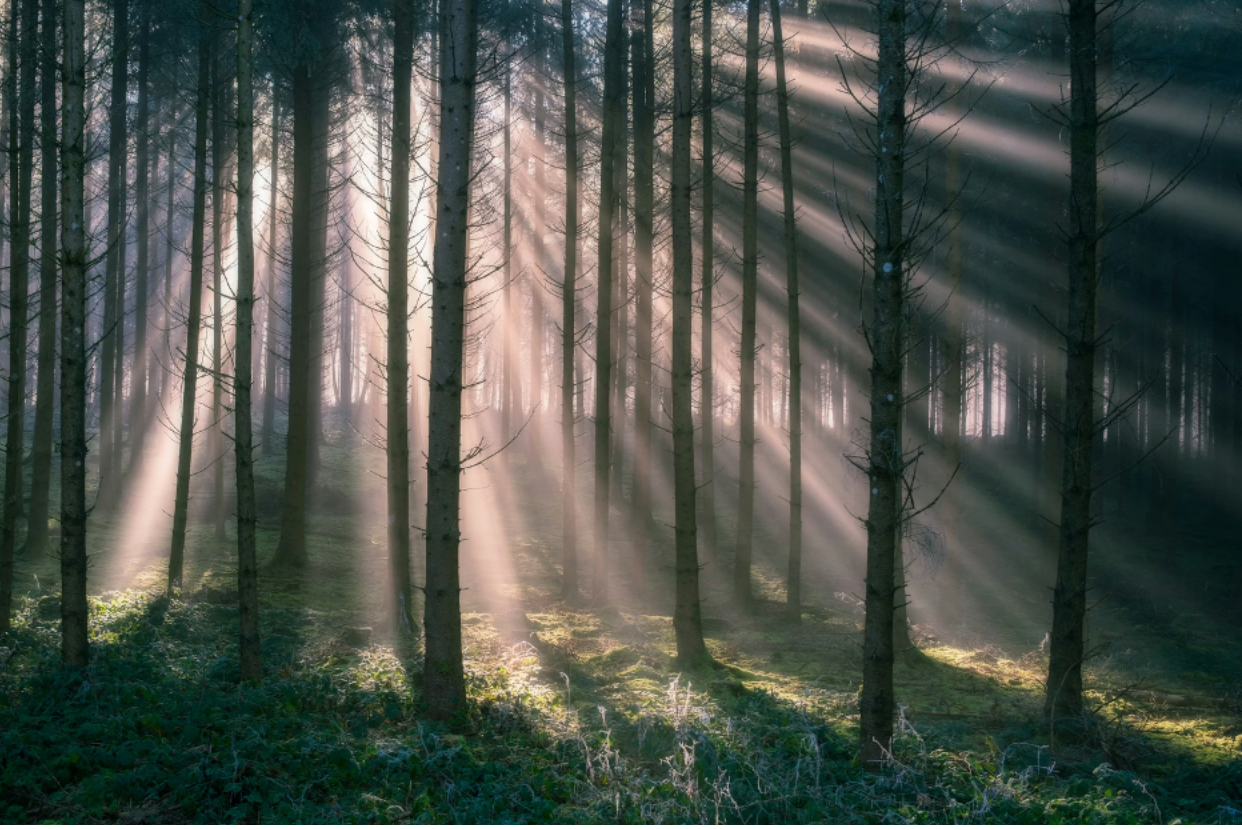 CLEAR AND CALL IN : The Moment Before the Shift